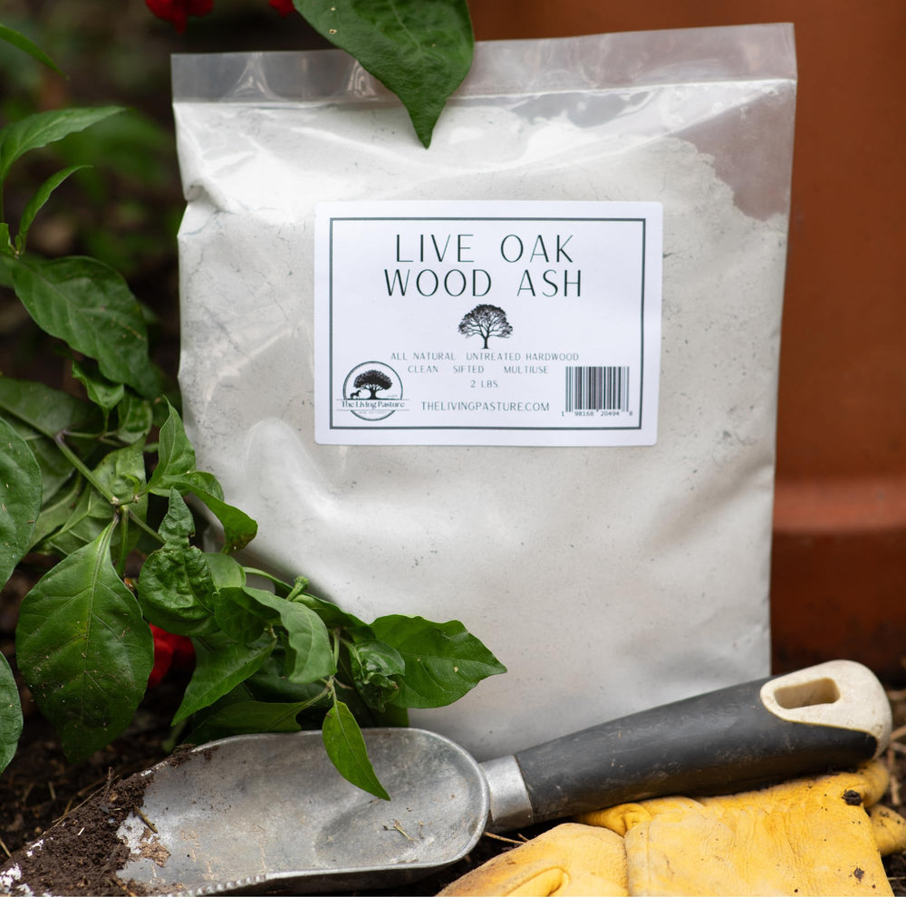 Measuring spoon and 2 lb bag of The Living Pasture ash showing controlled application amounts