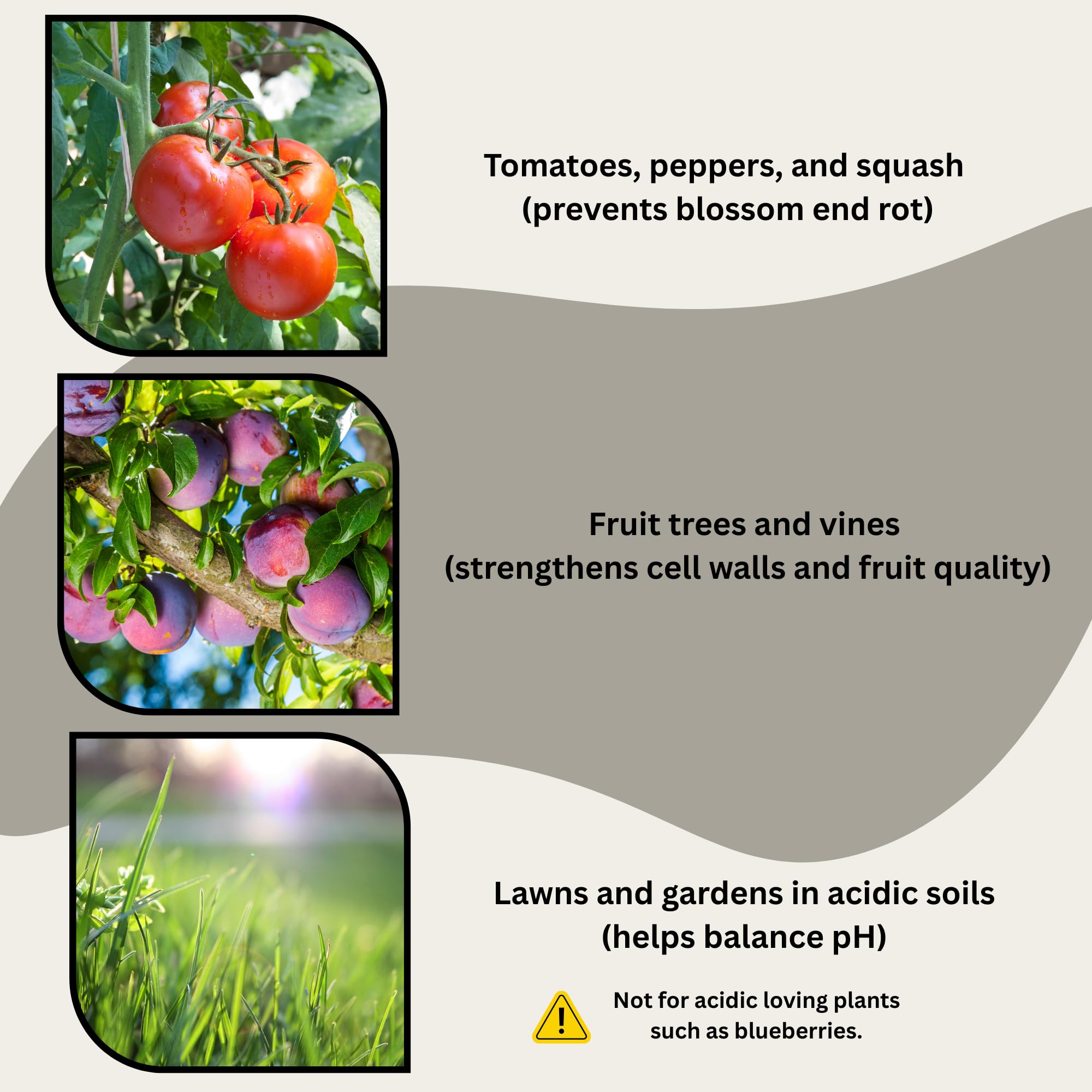 Garden soil pH test with The Living Pasture ash nearby for adjusting alkalinity safely