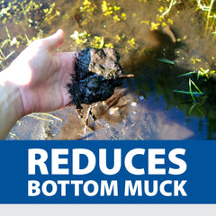 The Pond Guy tablet sinking in pond water to reach muck fast
