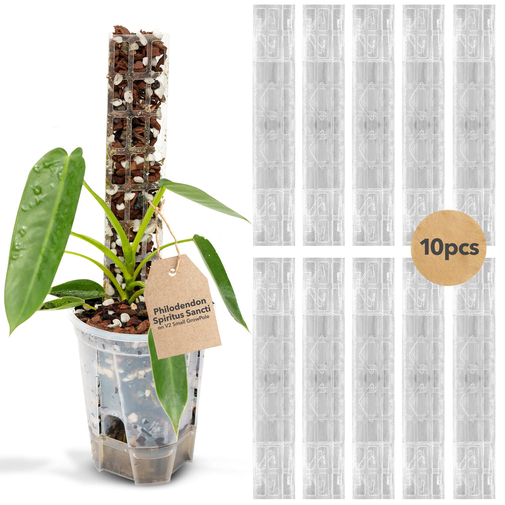 THICCLY mesh front close-up guiding aerial roots for consistent attachment benefit