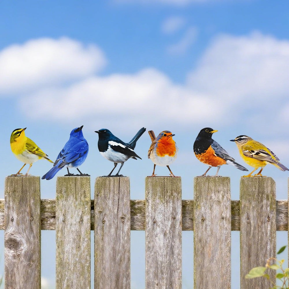 Throjin birds mounted on wooden fence offering instant garden charm