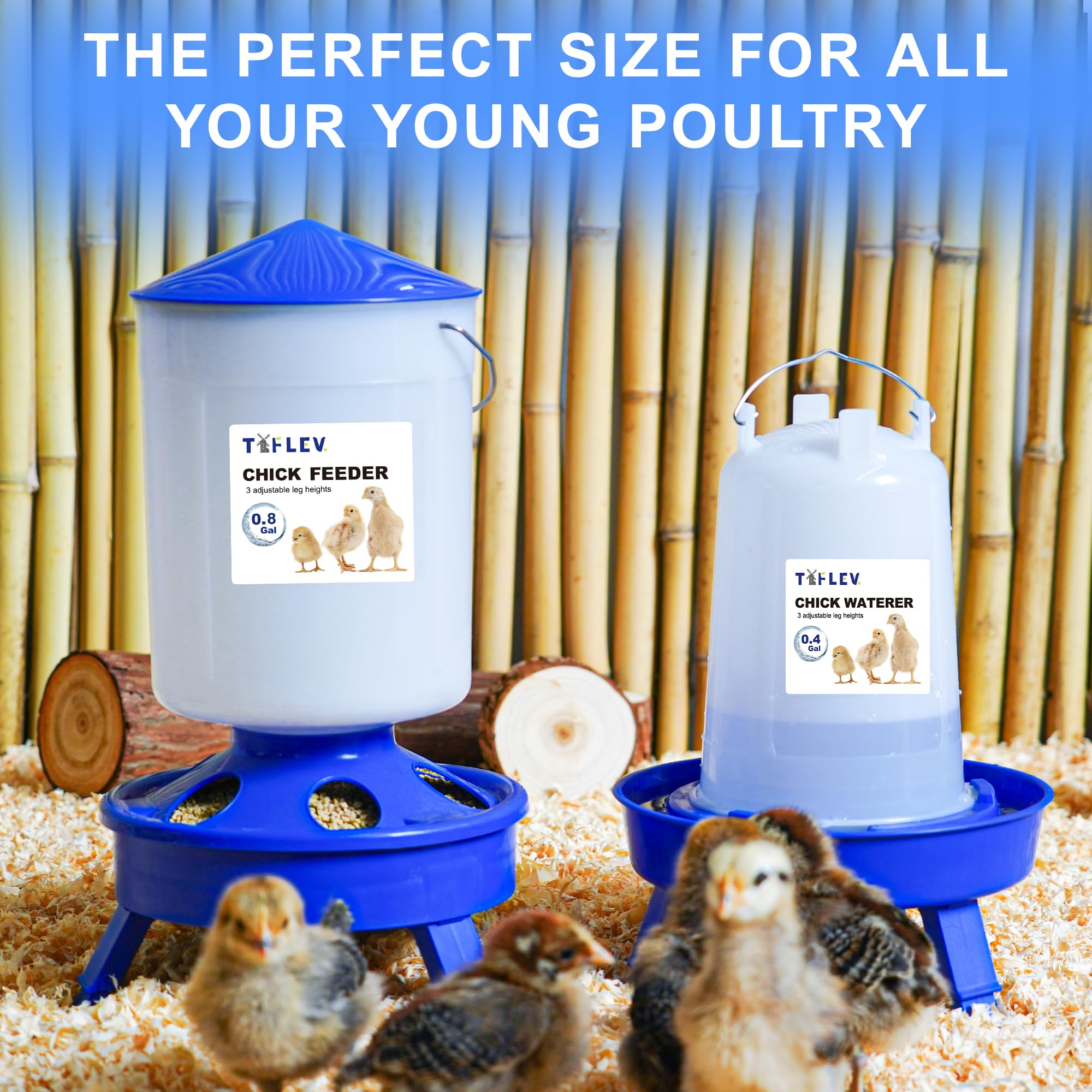 Tiflev feeder and waterer in a brooder setting promoting tidier feeding