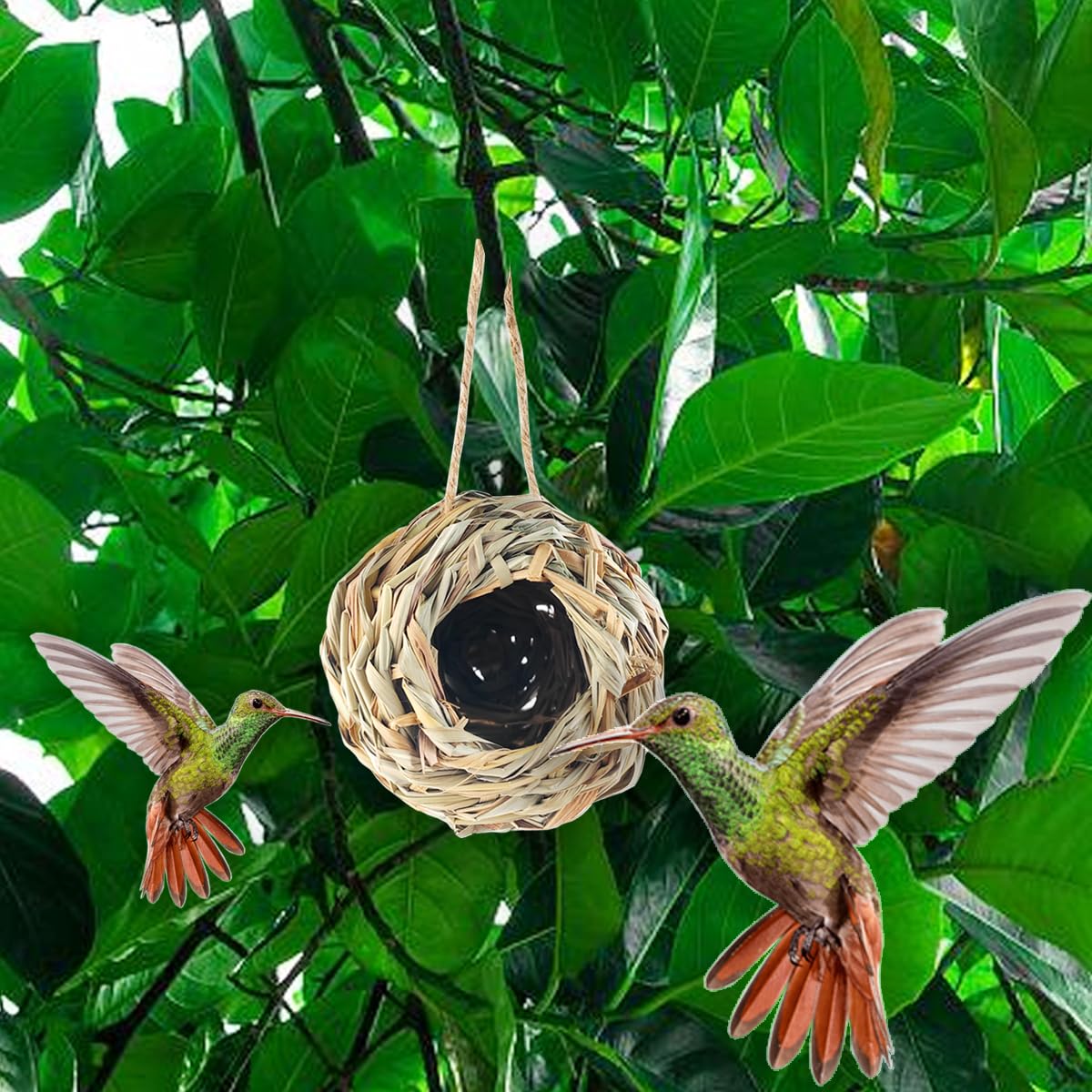 TIHOOD entrance hole detail showing snug opening for small birds