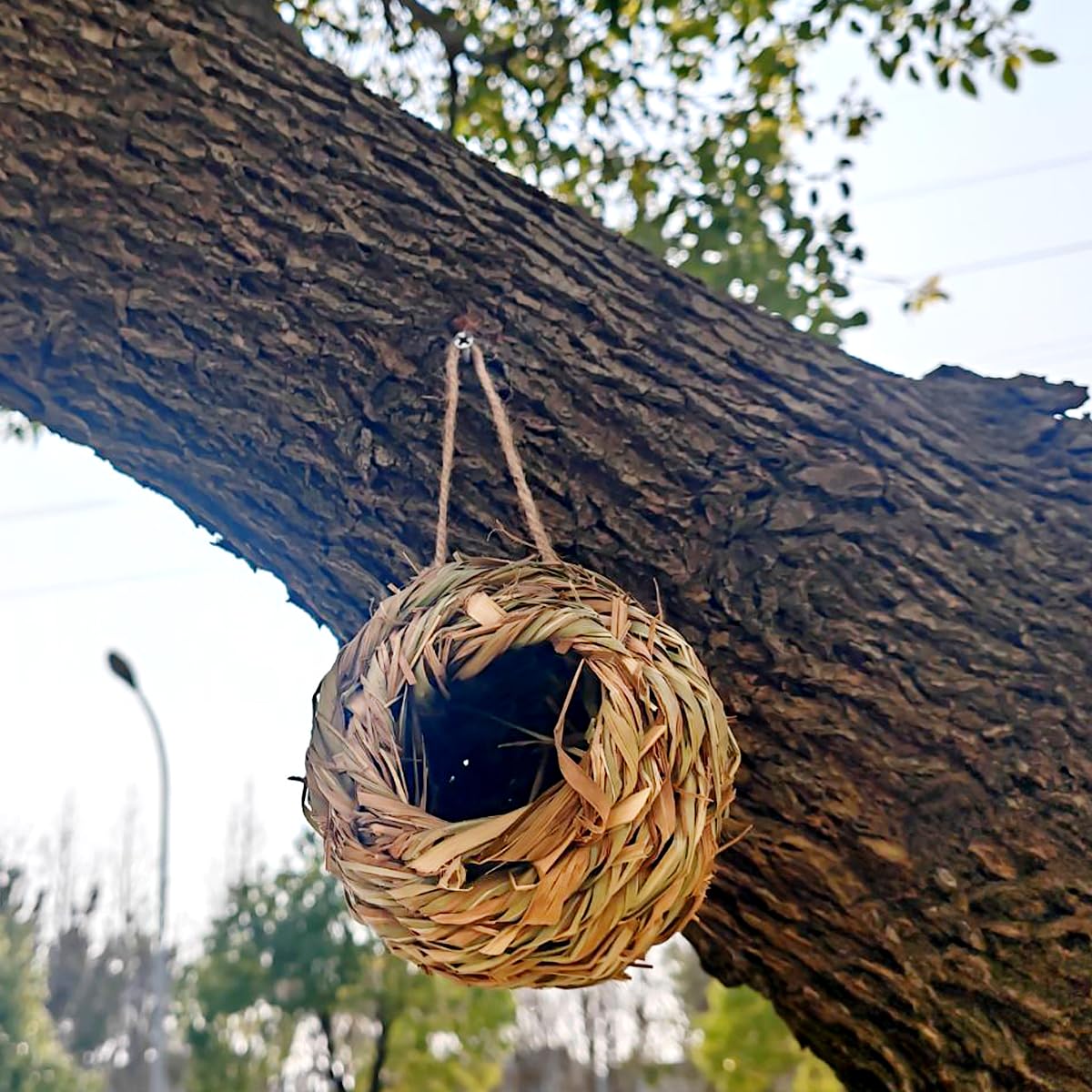 TIHOOD nest hung on patio bringing rustic decor and bird shelter