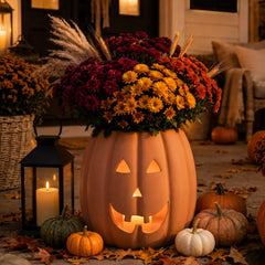 Tioncy front view of pumpkin planter showing warm terracotta and seasonal charm