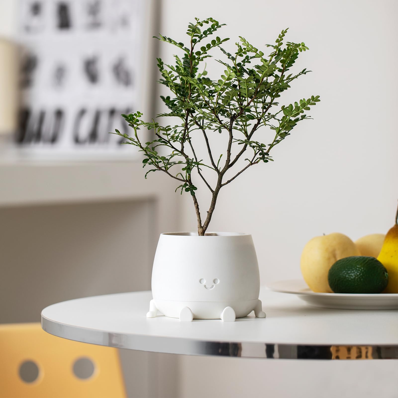 TOPOLA planter bendable legs posed on shelf for stable decorative placement