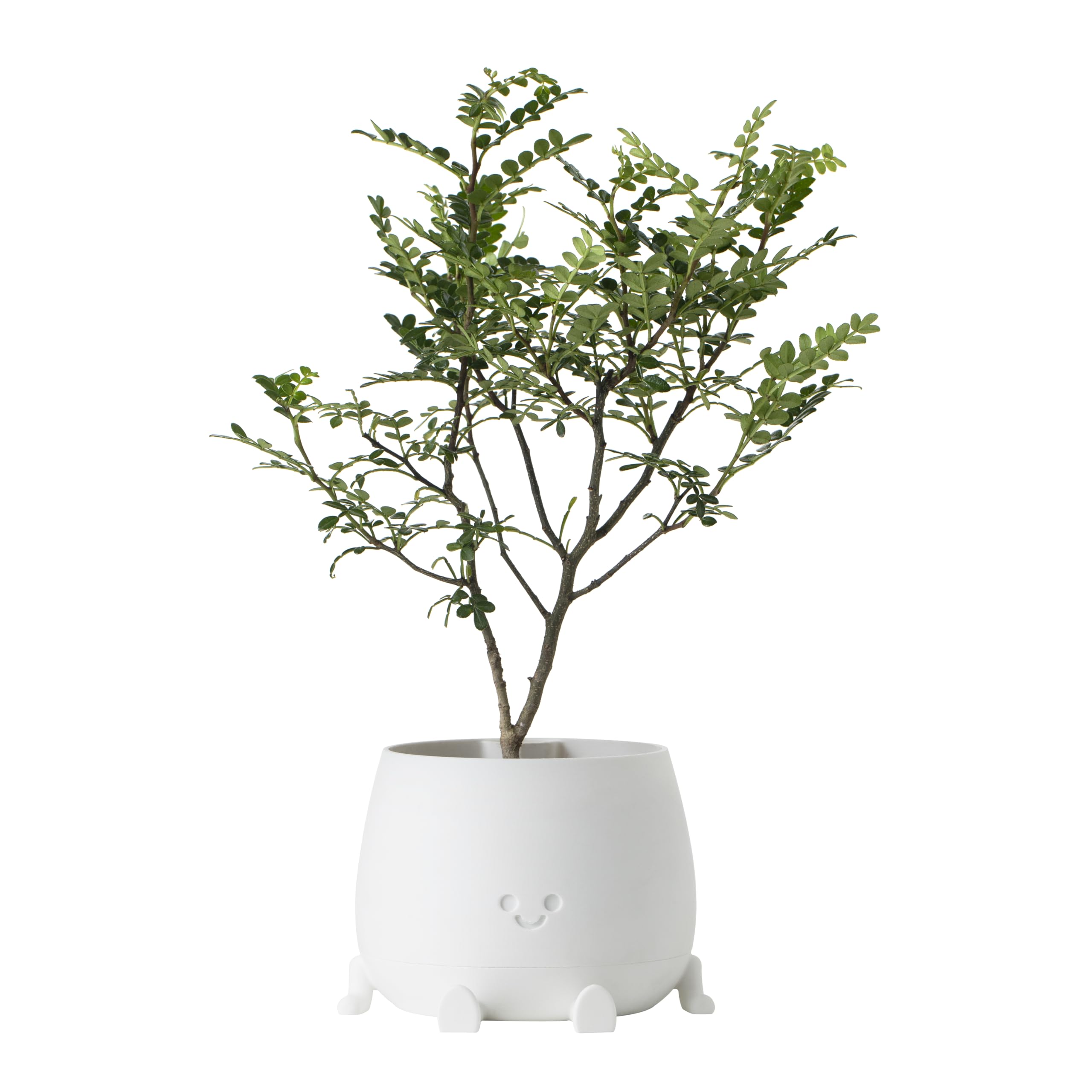 TOPOLA planter close-up texture highlighting eco-friendly plastic and durability
