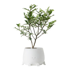TOPOLA planter close-up texture highlighting eco-friendly plastic and durability