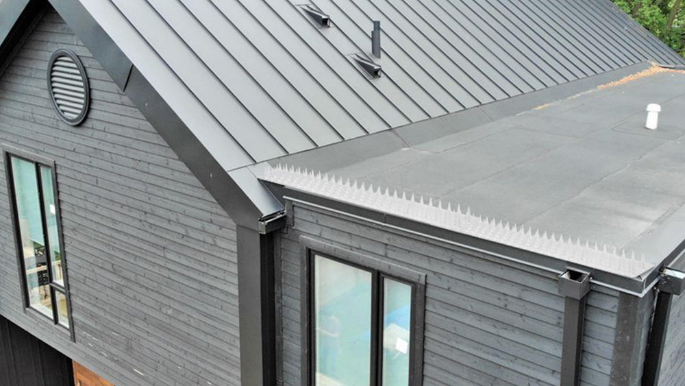Touri spikes on a patio ledge in lifestyle scene reducing droppings and preserving outdoor space benefit