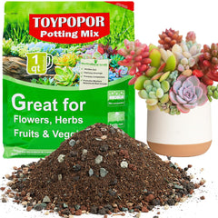 TOYPOPOR front packaging showing product name and ready-to-use benefit