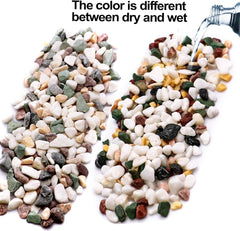 TOYPOPOR pebbles used in a freshwater aquarium creating natural-looking contrast for fish