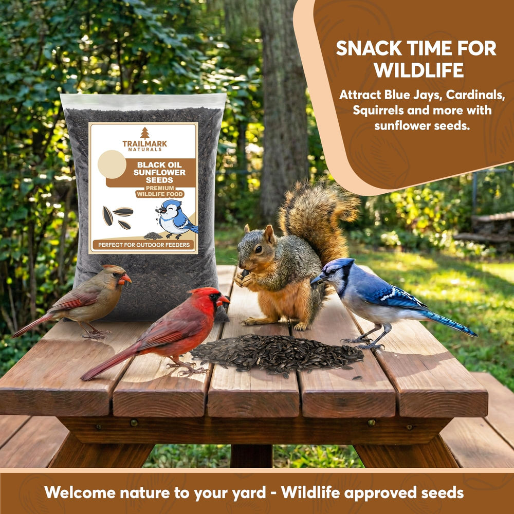 TRAILMARK NATURALS seeds loaded in a tube feeder attracting small backyard birds