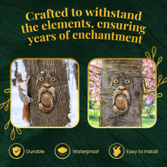 Tree Poetry mounted on trunk demonstrating weatherproof outdoor placement benefit