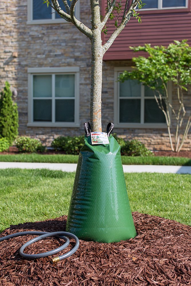 treegator filled bag in use slowly dripping to roots for deep saturation