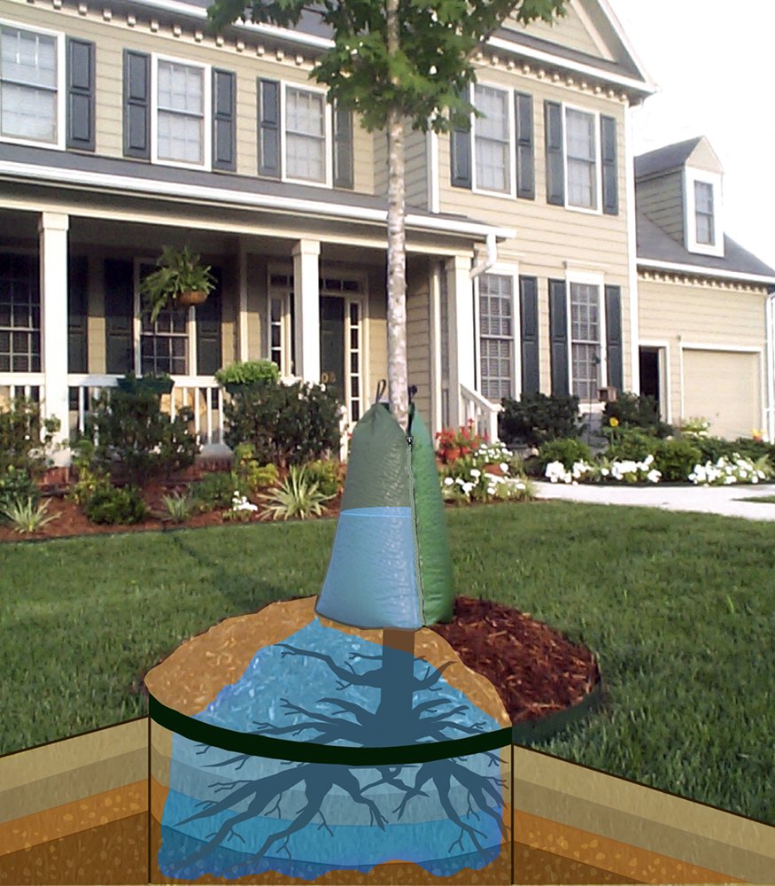 treegator installed in garden setting demonstrating easy use and time savings