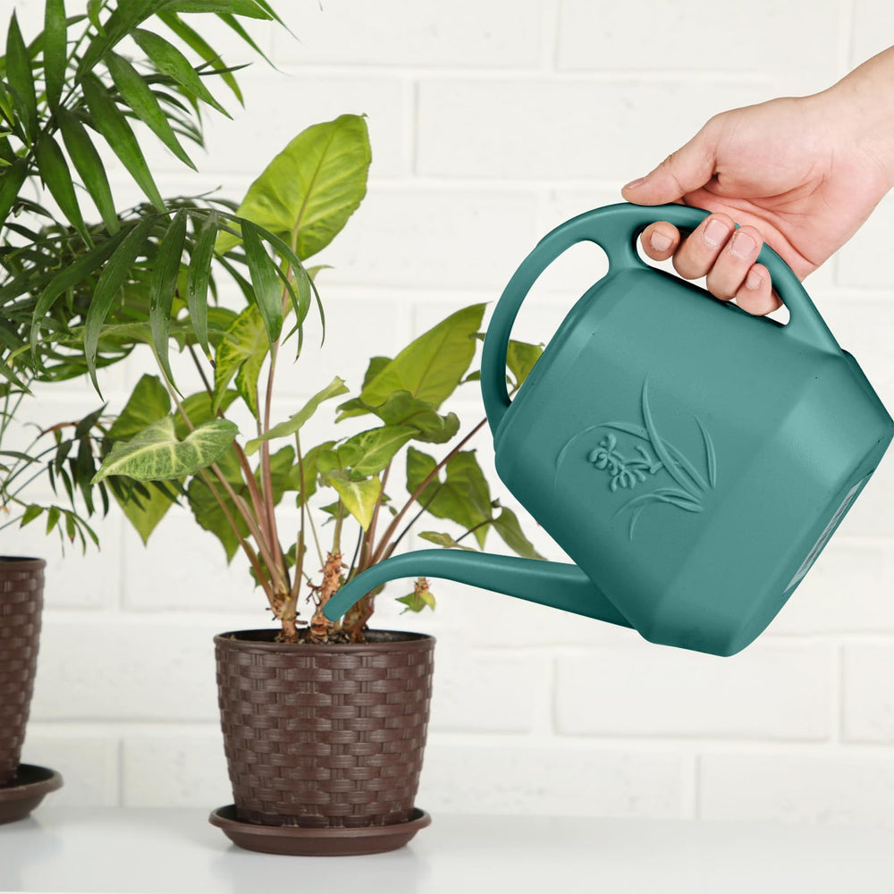 TTAOE GN watering can in use hydrating potted plants with targeted flow