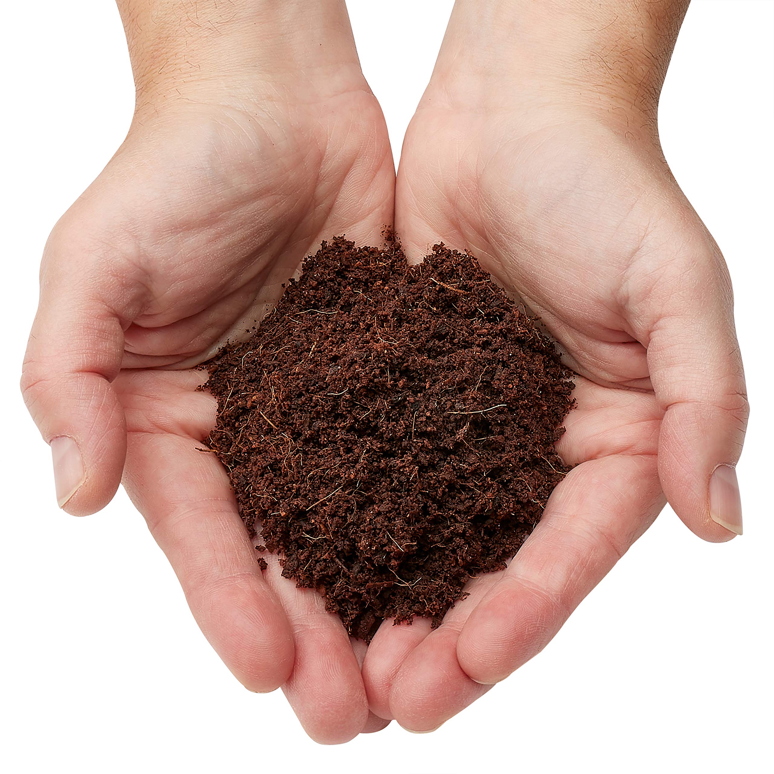 Urban Worm coir in a reptile enclosure offering clean, moisture-stable bedding