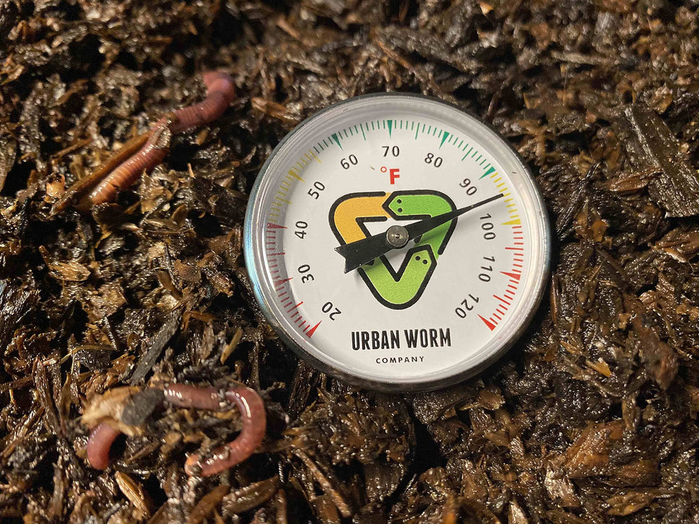 Urban Worm next to ruler demonstrating 5-inch stem depth for accurate readings
