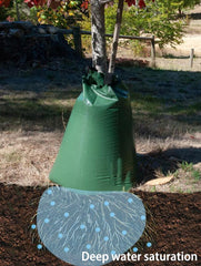 USHIGHLIGHT watering bag installed on a newly planted tree promoting deep root hydration benefit
