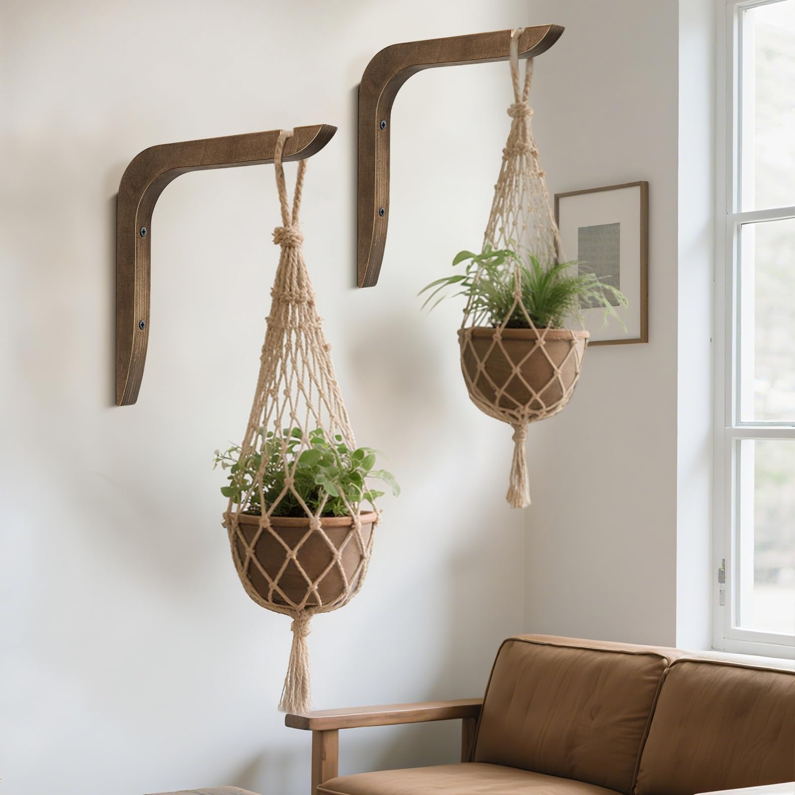 USION mounted hanger holding potted plant showing space-saving benefit