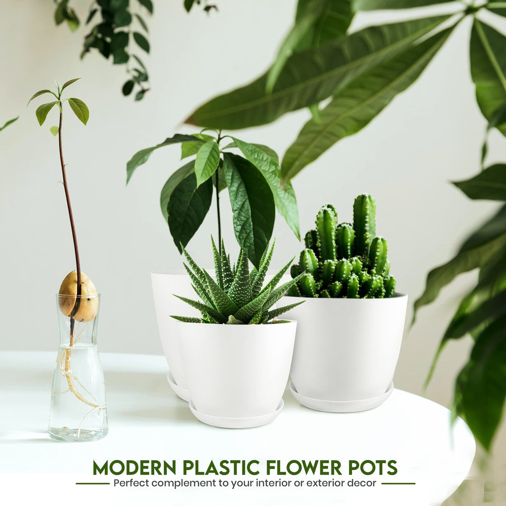 Utopia Home planter in use with pothos demonstrating healthy display and drainage