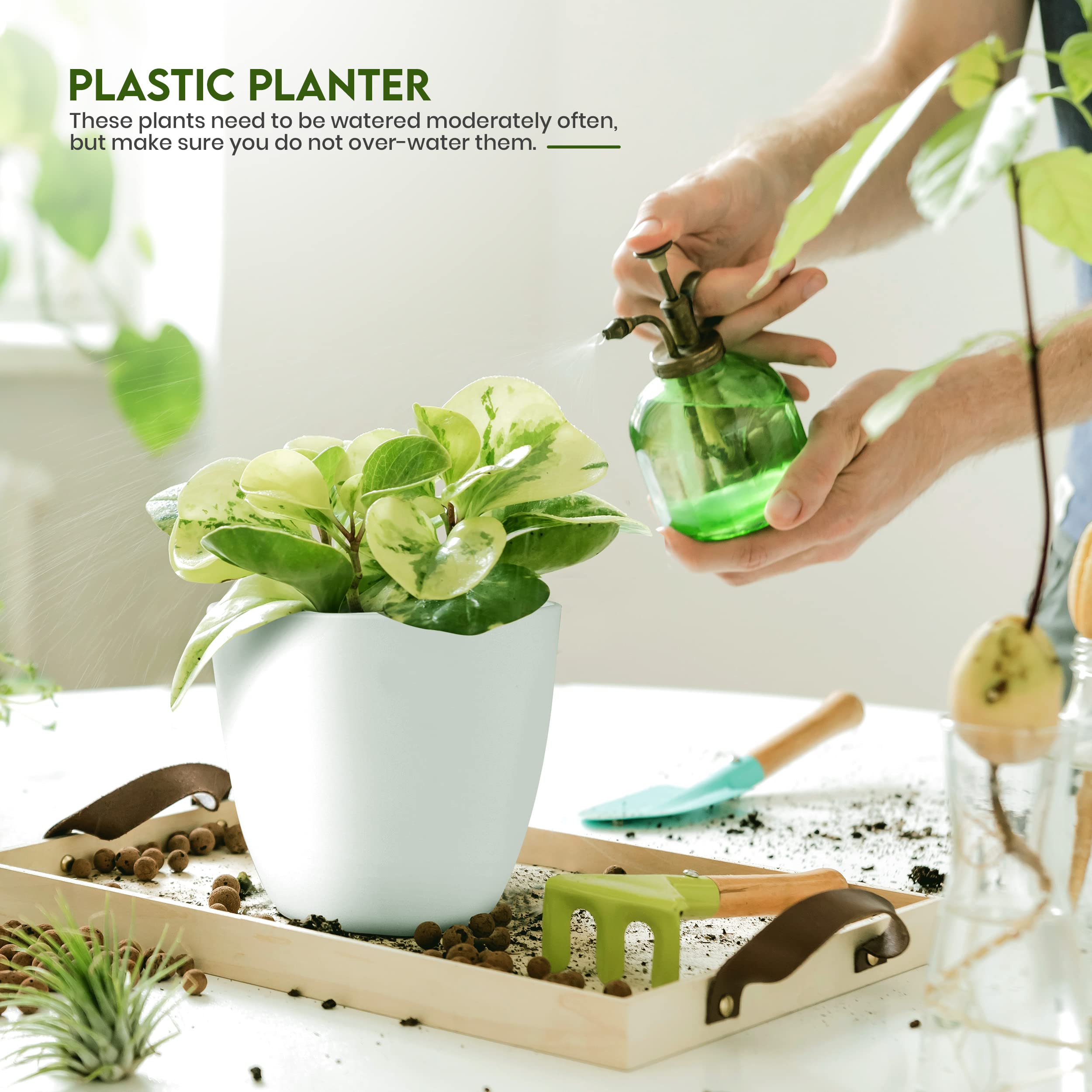 Utopia Home planters styled on a shelf creating layered indoor greenery and decor