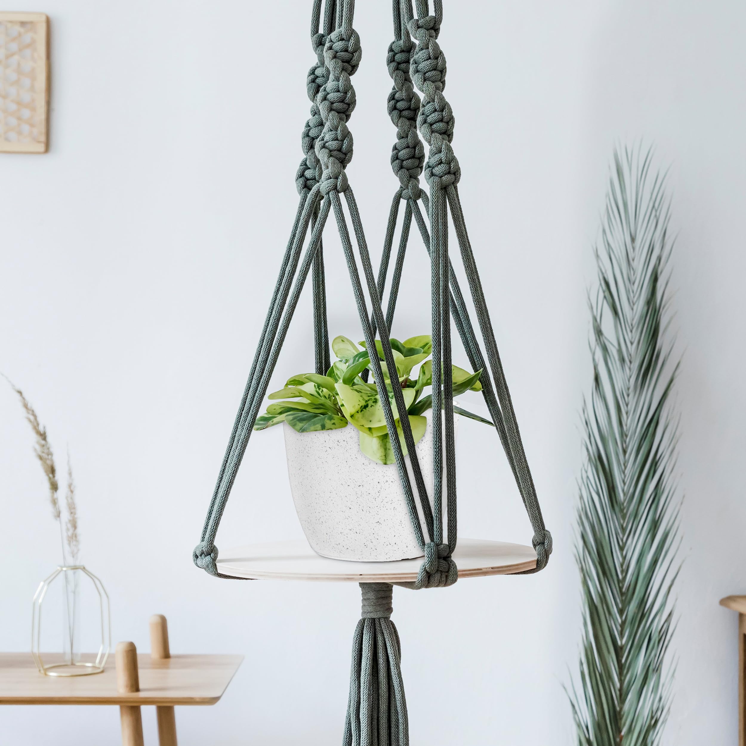 Utopia Home shelf scene with spotty planters enhancing home decor