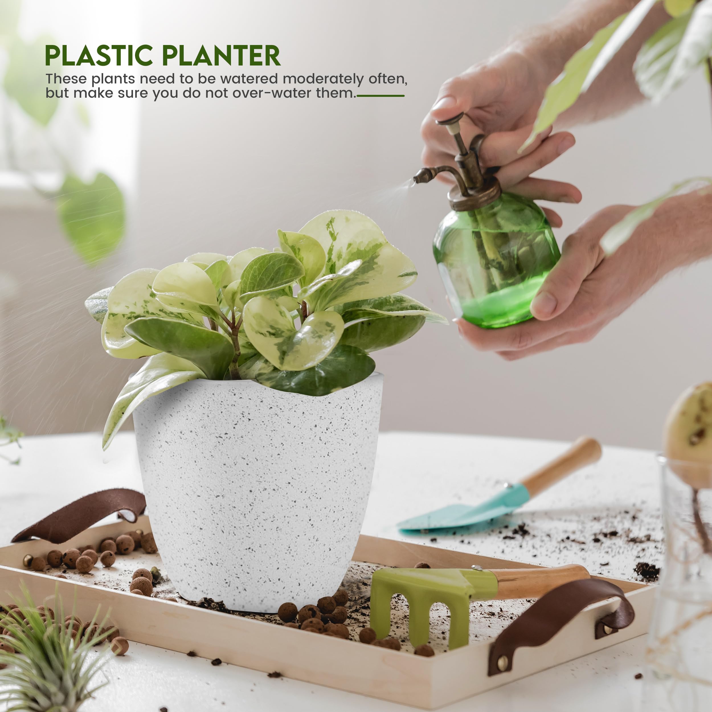 Utopia Home planter with succulent on windowsill for bright-display inspiration