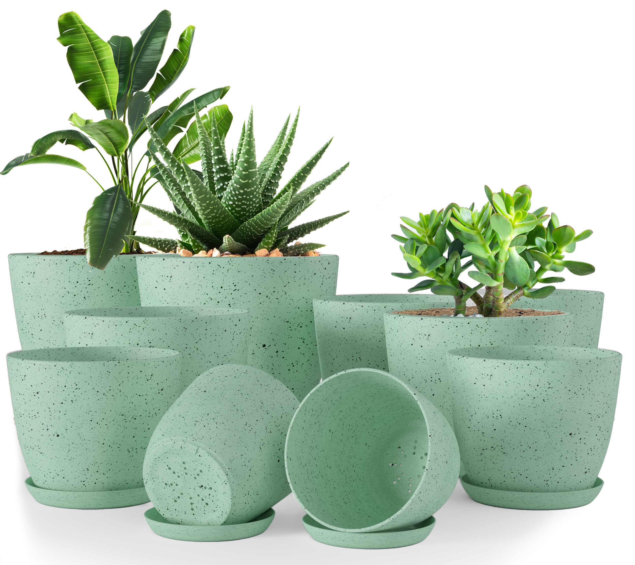 Utopia Home front view of 10-pack mint spotty planters showing size variety and style