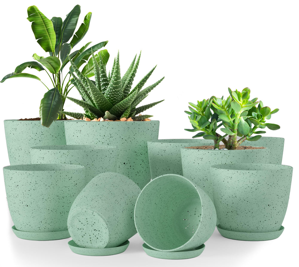 Utopia Home front view of 10-pack mint spotty planters showing size variety and style