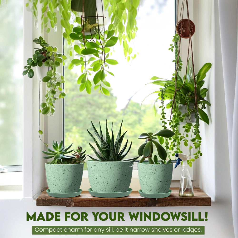 Utopia Home styled shelf with spotty mint planters creating coordinated decor appeal