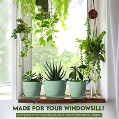 Utopia Home styled shelf with spotty mint planters creating coordinated decor appeal