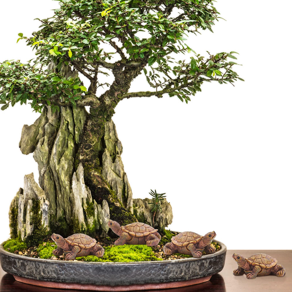 VAIPI turtle on bonsai soil showing natural fit and durable resin material