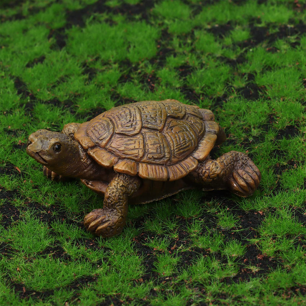 VAIPI turtle beside coin for size comparison and easy placement reference