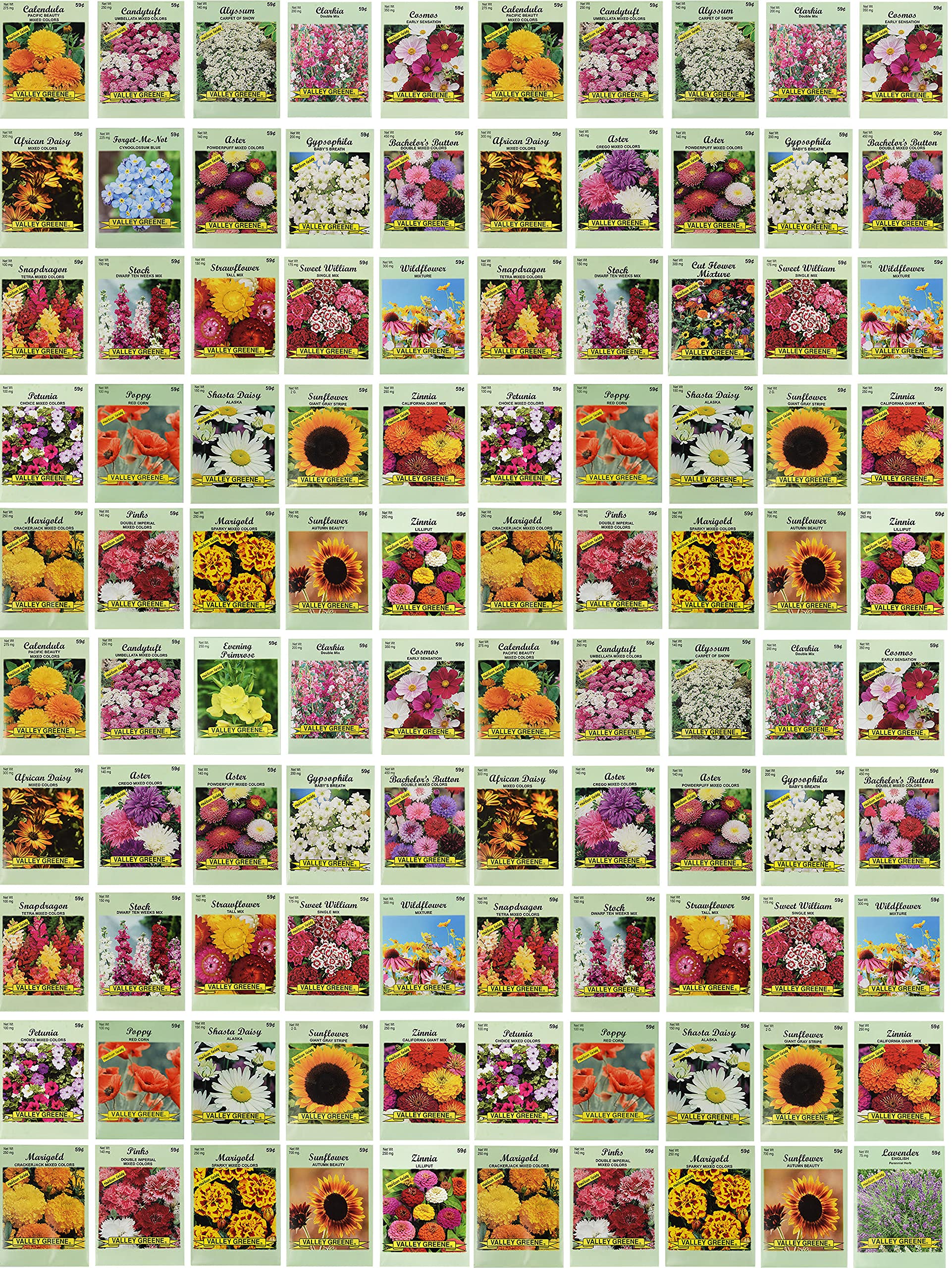 Valley Greene front view of 100 assorted seed packets showing variety and value