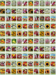 Valley Greene front view of 100 assorted seed packets showing variety and value