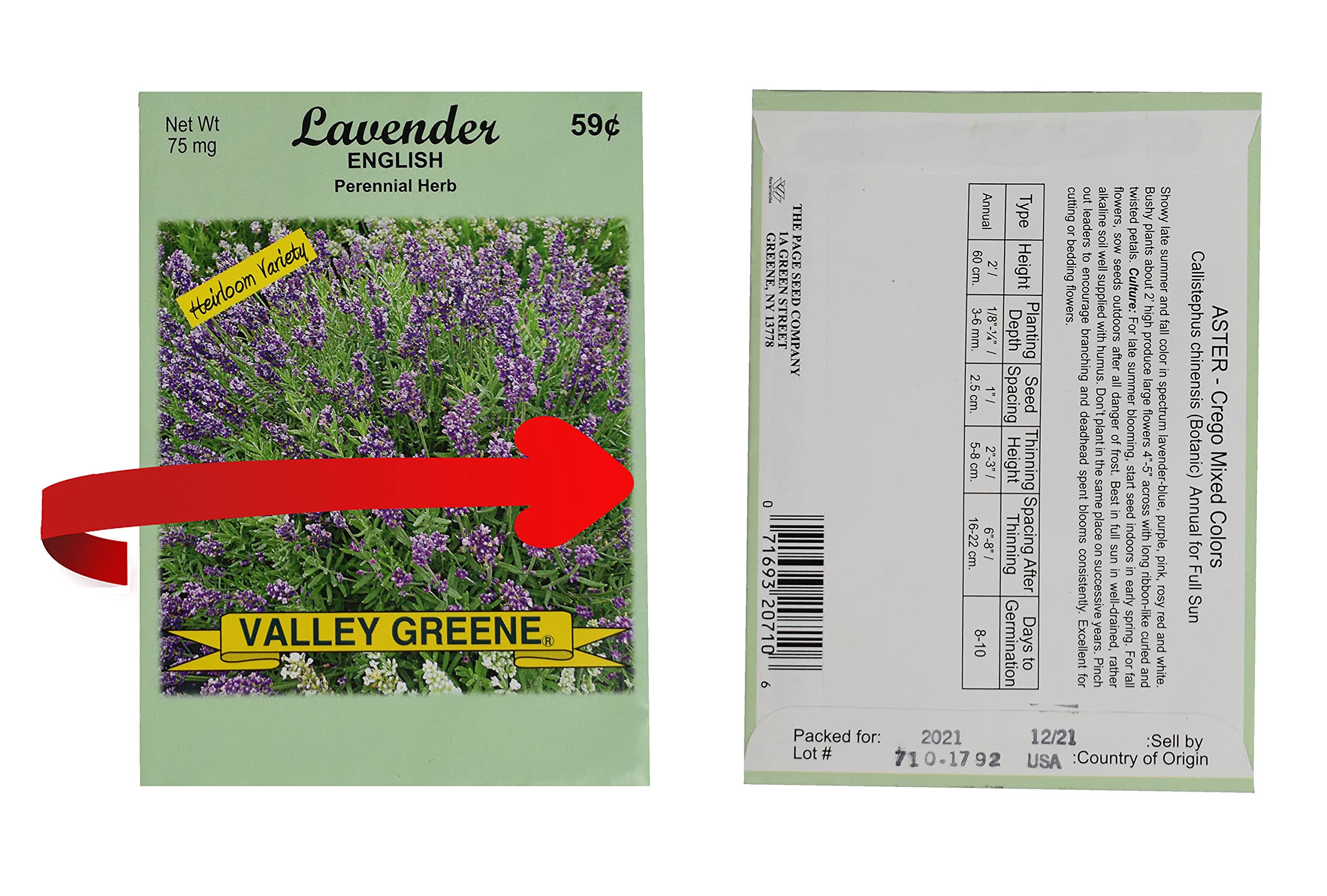 Valley Greene close-up of sealed envelope texture preserving seed freshness