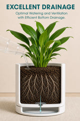 vancasso large pot planted with snake plant, showing healthy display