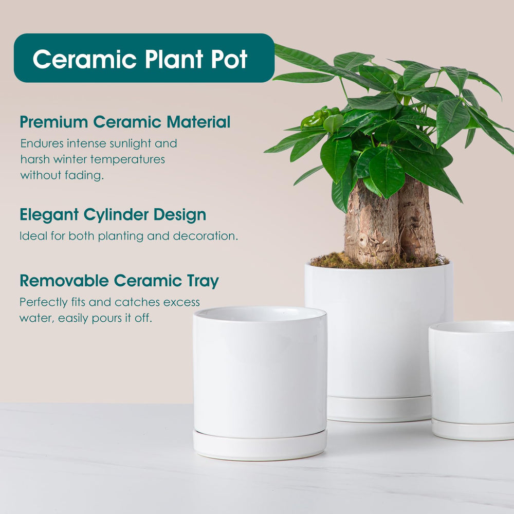 vancasso medium pot styled on shelf adding modern décor appeal