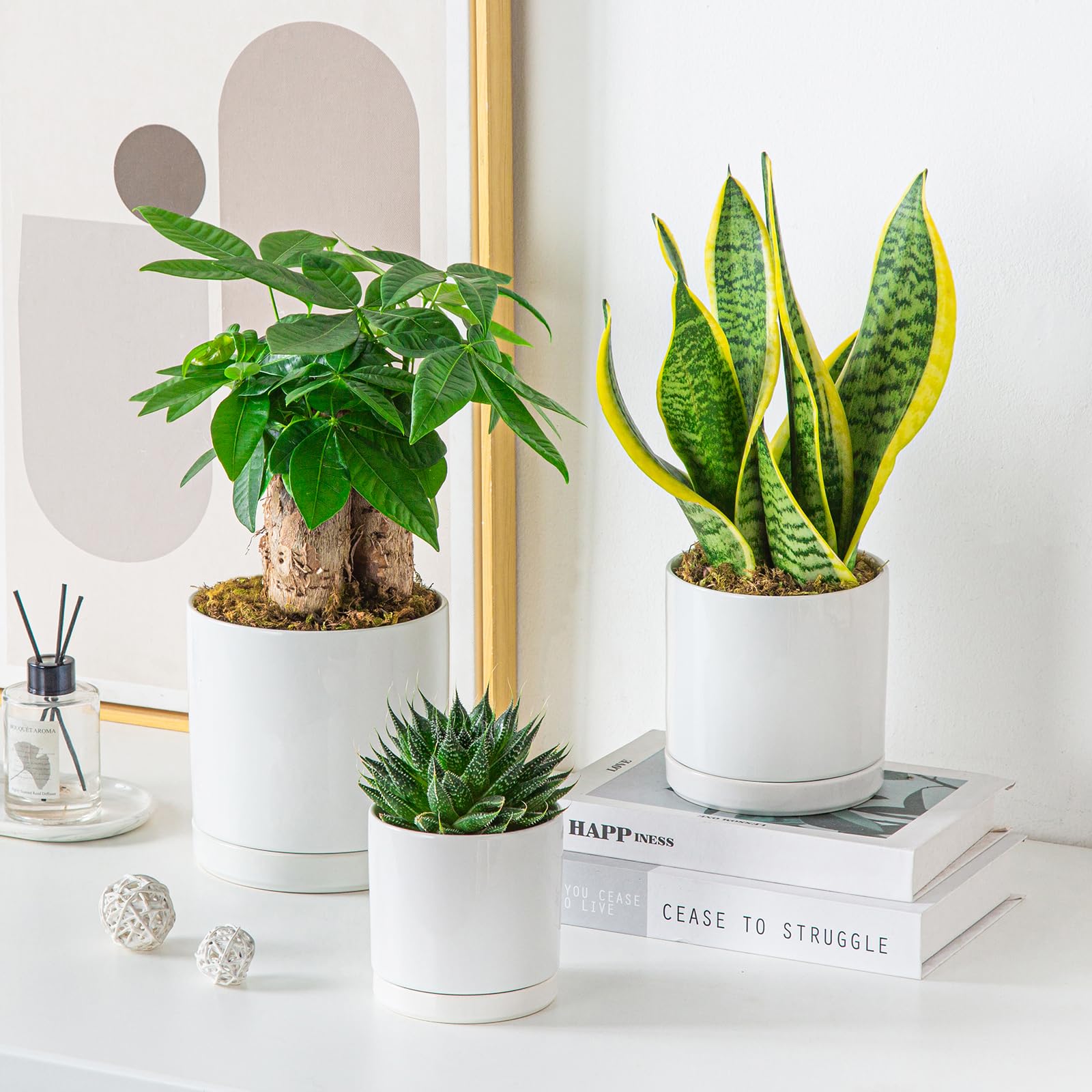 vancasso recyclable packaging protecting planters during shipping
