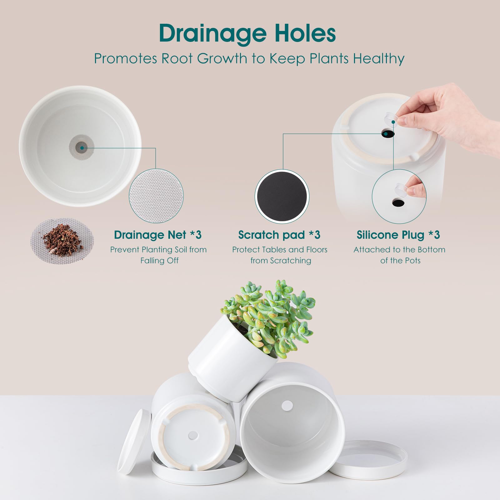 vancasso small pot with succulent on tabletop for compact spaces
