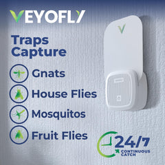VEYOFLY adhesive card close-up with trapped gnats, highlights non-toxic capture