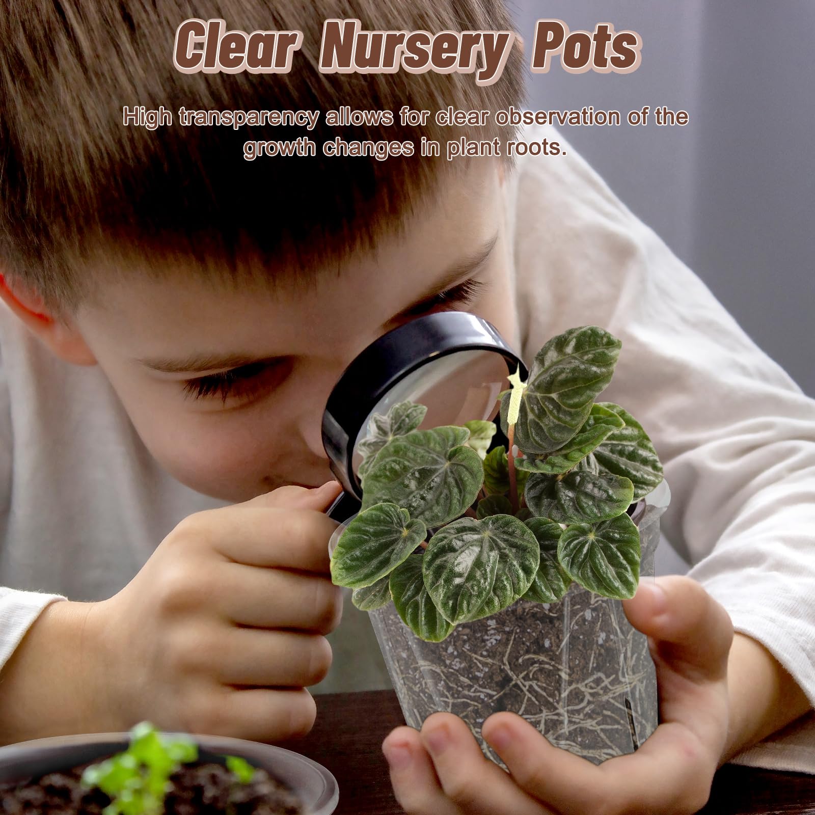 VIOBEPASS flexible pot bent to show easy soil release and gentler transplanting