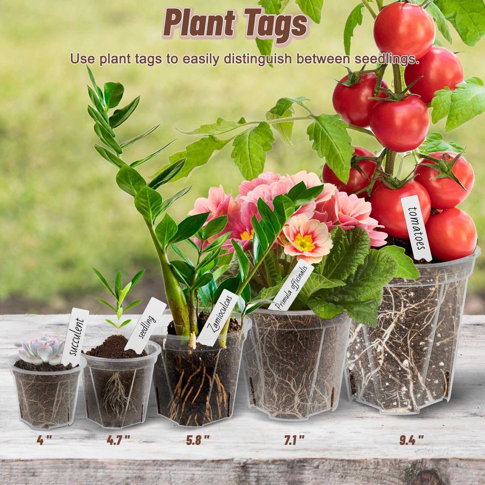 VIOBEPASS array of six sizes for quick visual selection and planting versatility