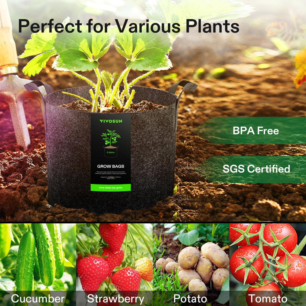 VIVOSUN grow bags arranged on a patio illustrating reusable garden setup benefit