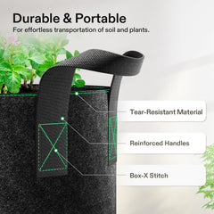VIVOSUN planted grow bag with tomatoes showing healthy growth in breathable planter