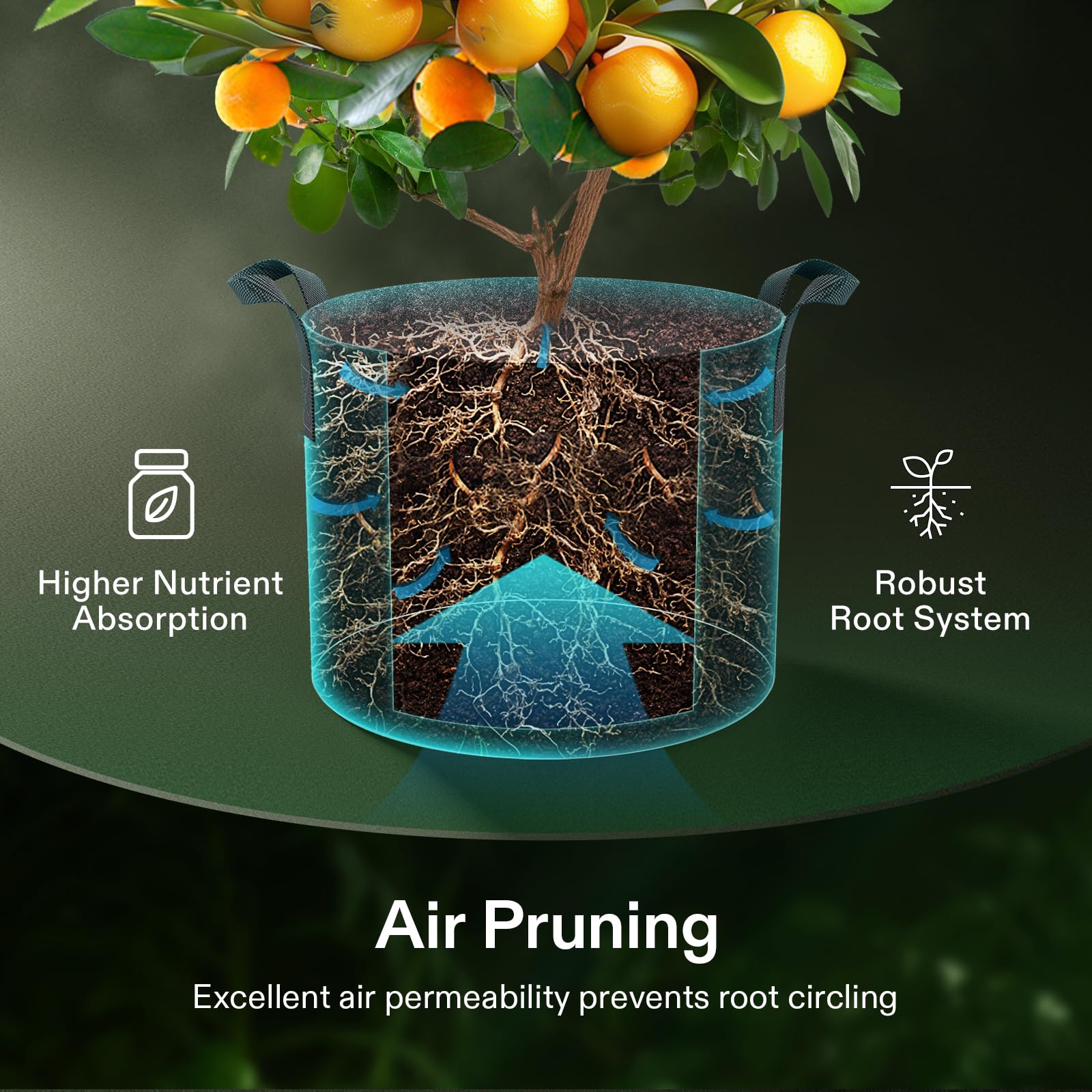 VIVOSUN grow bag planted with tomato demonstrating healthy root growth benefit
