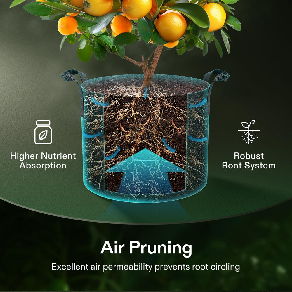 VIVOSUN grow bag planted with tomato demonstrating healthy root growth benefit