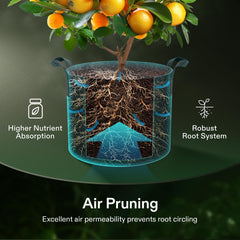 VIVOSUN grow bag planted with tomato demonstrating healthy root growth benefit