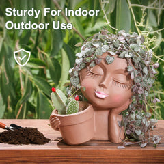 vomiceak top view with succulent planted inside, ideal for small plants